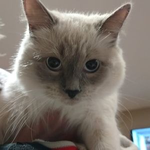 Meet your Posher, Natalia